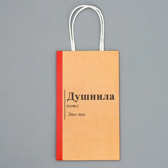 Пакет подарочный крафтовый, упаковка, «Душнила», 12 х 21 х 9 см