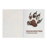 Энциклопедия 4D в дополненной реальности &laquo;Знакомство с животными&raquo;