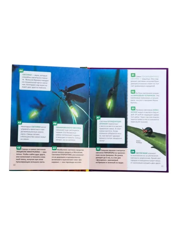 Энциклопедия российского школьника &laquo;Насекомые&raquo;