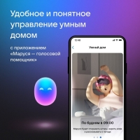 Умная колонка VK Капсула  мини (MRC02GY), голосовой помощник Маруся,5Вт,Wi-Fi, BT 4.2, серая