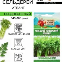 Семена Сельдерей &laquo;черешковый Атлант&raquo;, 0.5 г, &laquo;Рецепты дедушки Никиты&raquo;