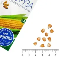 Семена Кукуруза &laquo;Кубанская консервная 148&raquo;, &laquo;Агроуспех&raquo;, 5 г
