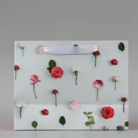 Пакет подарочный ламинированный, упаковка, &laquo;Ты прекрасна&raquo;, MS 18&times;23&times;8 см