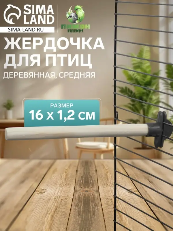 Жёрдочка для птиц &laquo;Пижон&raquo;, 16&times;1.2 см, средняя, дерево, бежевая