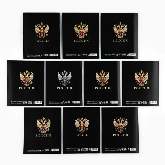 Тетради предметные, 36 л., набор из 10 шт., блок №1 &laquo;Россия&raquo;