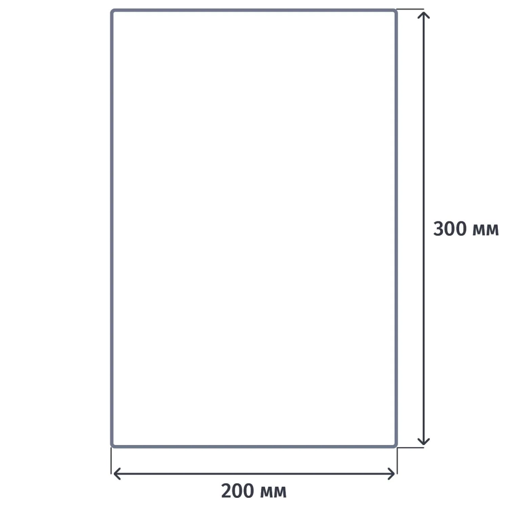 Пакет вакуумный пищевой 200х300мм РET/РЕ 55 мкм 200шт/уп