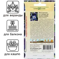Семена Виола "Сорбет XP Парпл Фейс", ц/п,  F1, 4 шт.