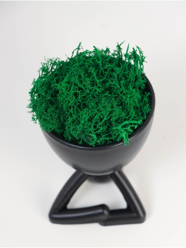 Кашпо пластиковое "Мистер Грин на лайте" 9,7*12*7,3 см черный