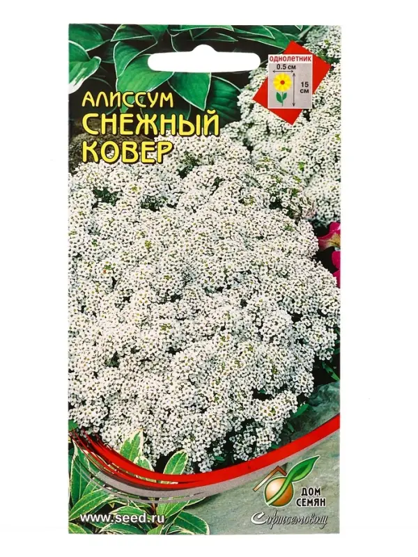 Набор семян Алиссум &laquo;Снежный ковер&raquo;, 180 семян