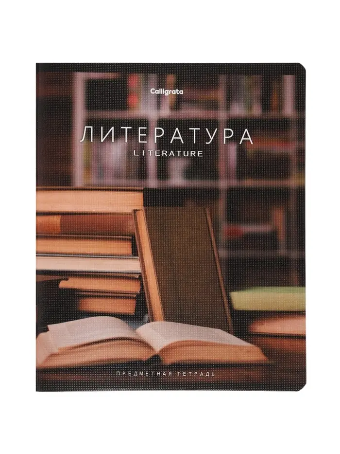 Комплект 12 предметных тетрадей 48 листов, справочная информация, 60гр, Моменты
