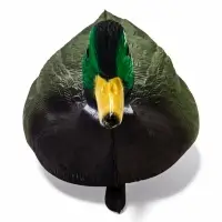 Фигура плавающая &laquo;Селезень&raquo;, 35&times;15&times;16 см, пластик