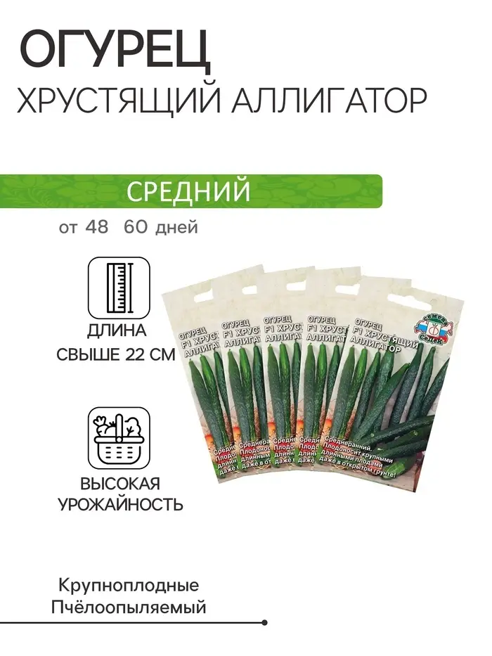 Семена Огурец &laquo;Хрустящий аллигатор &raquo;, набор 5 шт., &laquo;Рецепты дедушки Никиты&raquo;