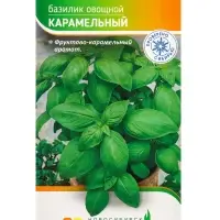 Семена Базилик овощной &laquo;Карамельный&raquo;, 1 г, &laquo;Агрос&raquo;