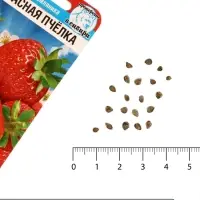 Семена Земляника &laquo;Красная пчелка&raquo;, 10 шт., &laquo;Сибирский сад&raquo;