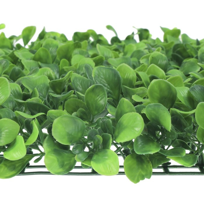 Декоративная панель, 60 × 40 см, «Мокрица», Greengo Декоративная панель, 60 × 40 см, «Мокрица», Greengo