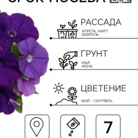 Семена цветов Петуния &laquo;Лимбо&raquo; F1, синяя, крупноцветковая, драже, 7 шт.