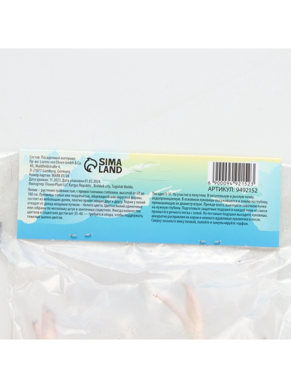 Лилия Восточная Virtuoso, луковица в пакете с перфорацией, р-р 12/14, 3 шт.