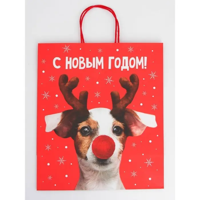 Набор новогодних крафтовых пакетов «С Новым годом тебя!» Набор новогодних крафтовых пакетов «С Новым годом тебя!»