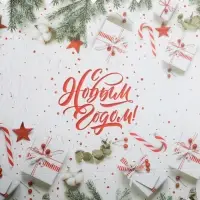 Коробка для кондитерских изделий с пластиковой крышкой «С Новым годом!», 10.5 х 21 х 3 см