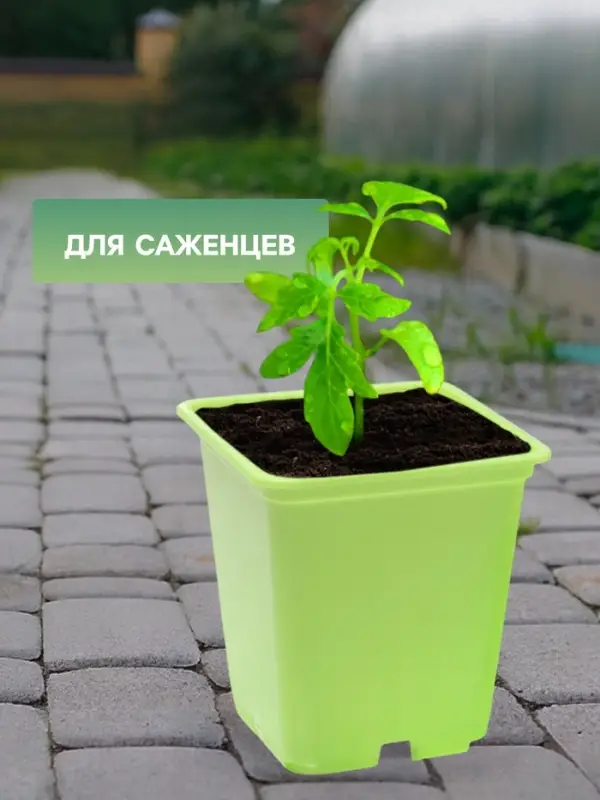Горшок для рассады, 500 мл, 9&times;9&times;10 см, салатовый