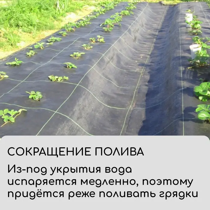 Агроткань застилочная, с разметкой, 5&times;1.6 м, плотность 100 г/м&sup2;, полипропилен, Greengo, Эконом 50%