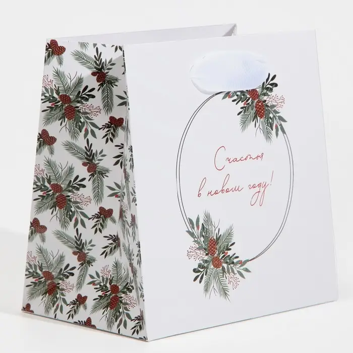 Пакет подарочный новогодний ламинированный квадратный «Зима», 14 х 14 х 9 см Пакет подарочный новогодний ламинированный квадратный «Зима», 14 х 14 х 9 см