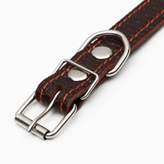 Ошейник кожаный с тиснением на синтепоне, 55 х 2.5 см, ОШ 35-45 см, коричневый Ошейник кожаный с тиснением на синтепоне, 55 х 2.5 см, ОШ 35-45 см, коричневый