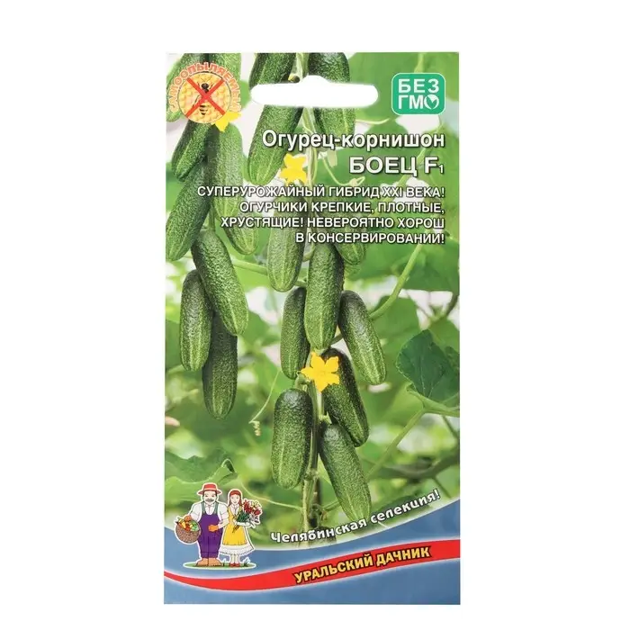 Семена огурца  Семена огурца "Боец", F1, 10 шт.
