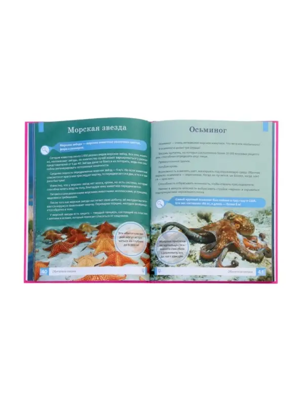 Эциклопедия "Подводный мир", Ульева Е.А.