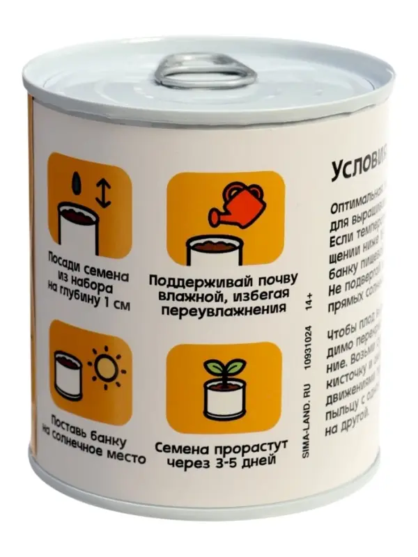 Набор для опытов ЭВРИКИ &laquo;Мой мини-сад&raquo;, подсолнух