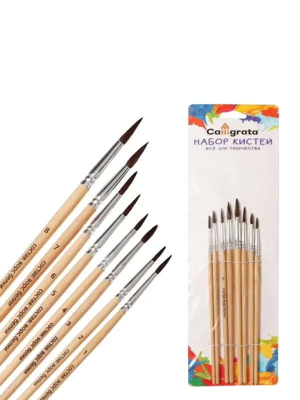 Набор кистей для рисования, белка, 8 штук: № 1, 2, 3, 4, 5, 6, 7, 8, круглые, деревянная ручка, международный размер