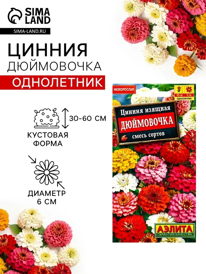 Семена цветов Цинния изящная &laquo;Дюймовочка&raquo;, смесь сортов, 0.3 г