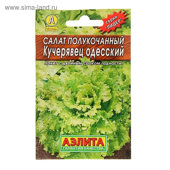 Семена Салат "Кучерявец Одесский", 0,5 г