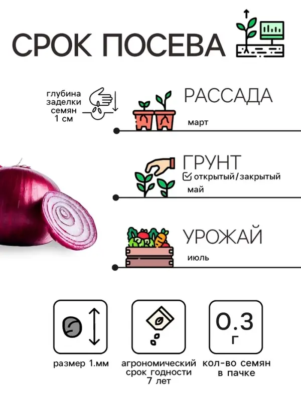 Семена Лук репчатый «Красный», 0.3 г Семена Лук репчатый «Красный», 0.3 г