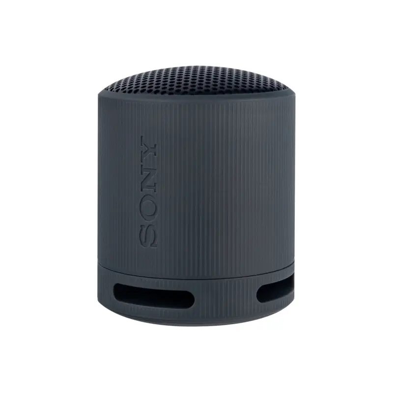 Портативная Bluetooth колонка SRS-XB100 Черный