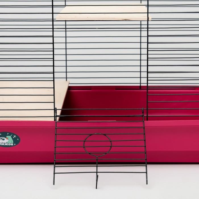 Клетка для шиншилл Клетка для шиншилл "Пижон" №8 с 2-я деревянными этажами, разборная, 58х40х48 см, малиновая