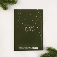 Новый год. Ежедневник-планинг «Верь в мечту», А5, 80 л.