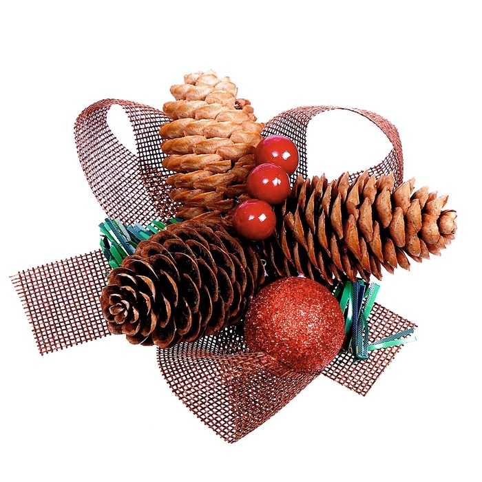 Новогодняя композиция «Шишки, ягодки» МИКС Новогодняя композиция «Шишки, ягодки» МИКС