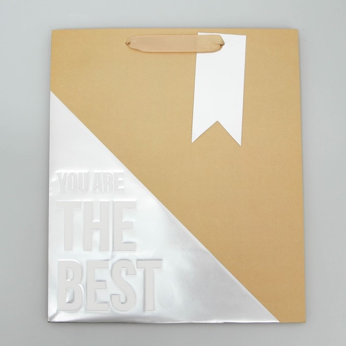 Пакет подарочный, упаковка, &laquo;Лучший&raquo;, ML 23 х 27 х 11.5 см