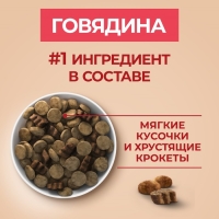 Сухой корм Purinа One medium/maxi для взрослых собак, говядина/рис, 10 кг