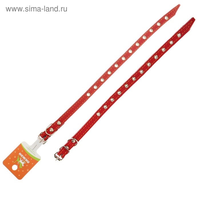 Ошейник кожаный на синтепоне, безразмерный, 37 х 1,5 см, ОШ 21-31 см, красный Ошейник кожаный на синтепоне, безразмерный, 37 х 1,5 см, ОШ 21-31 см, красный