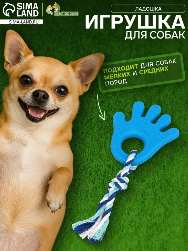 Игрушка жевательная с канатом для собак &laquo;Ладошка&raquo;, 10 см, голубая