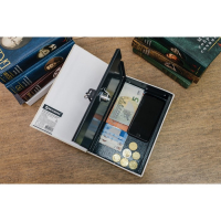 Сейф-книга "ФИНАНСИСТ", 5,5х17х24 см, ключевой замок