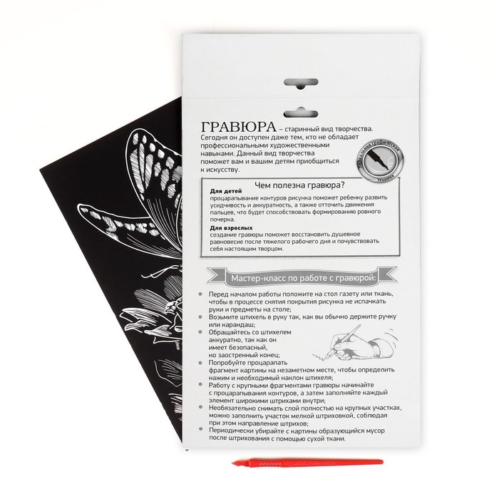 Гравюра на подложке «Бабочка на цветке» с металлическим эффектом «серебро» А4 Гравюра на подложке «Бабочка на цветке» с металлическим эффектом «серебро» А4