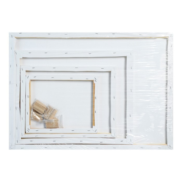 Набор холстов на подрамнике, 4 штуки, хлопок 100%, размер (24×30, 30×40, 40×50, 50×70 см), акриловый грунт, среднезернистый, 380 г/м² Набор холстов на подрамнике, 4 штуки, хлопок 100%, размер (24×30, 30×40, 40×50, 50×70 см), акриловый грунт, среднезернистый, 380 г/м²