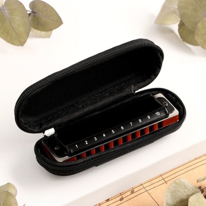 Губная гармошка Music Life T008L  C диатоническая, 10 отверстий, с футляром Губная гармошка Music Life T008L  C диатоническая, 10 отверстий, с футляром