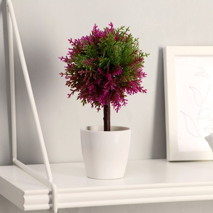 Бонсай в горшке Бонсай в горшке "Листочки-ёлочки" 20 см, микс