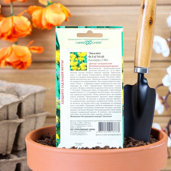 Семена комнатных цветов Эвкалипт  Семена комнатных цветов Эвкалипт "Флагман", ц/п,  0,05 г