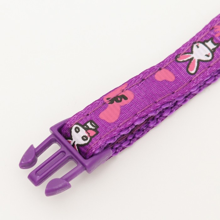 Ошейник двухслойный с фастексом Ошейник двухслойный с фастексом "Зайки", 30 х 1 см, фиолетовый