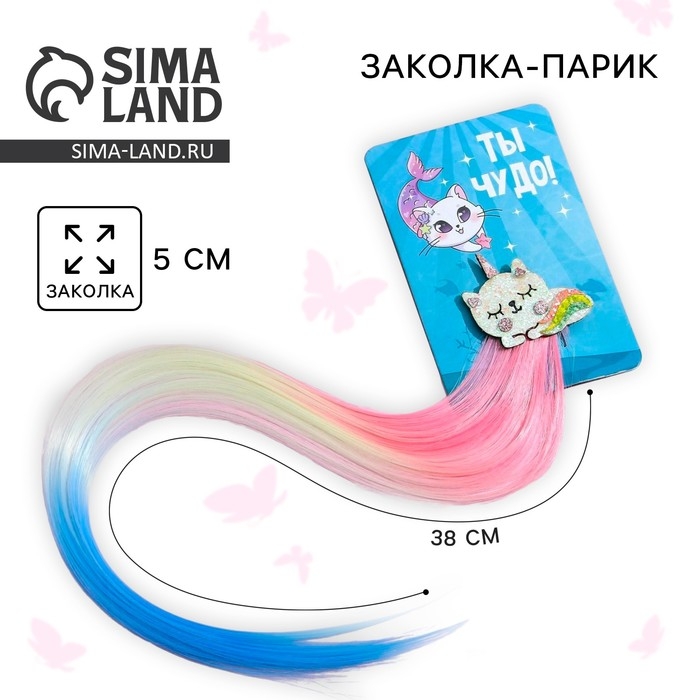 Заколки для волос , цветная прядь «Ты чудо!» Заколки для волос , цветная прядь «Ты чудо!»